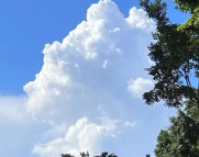 造桥天气预报,造桥7天天气预报,造桥15天天气预报,造桥天气查询